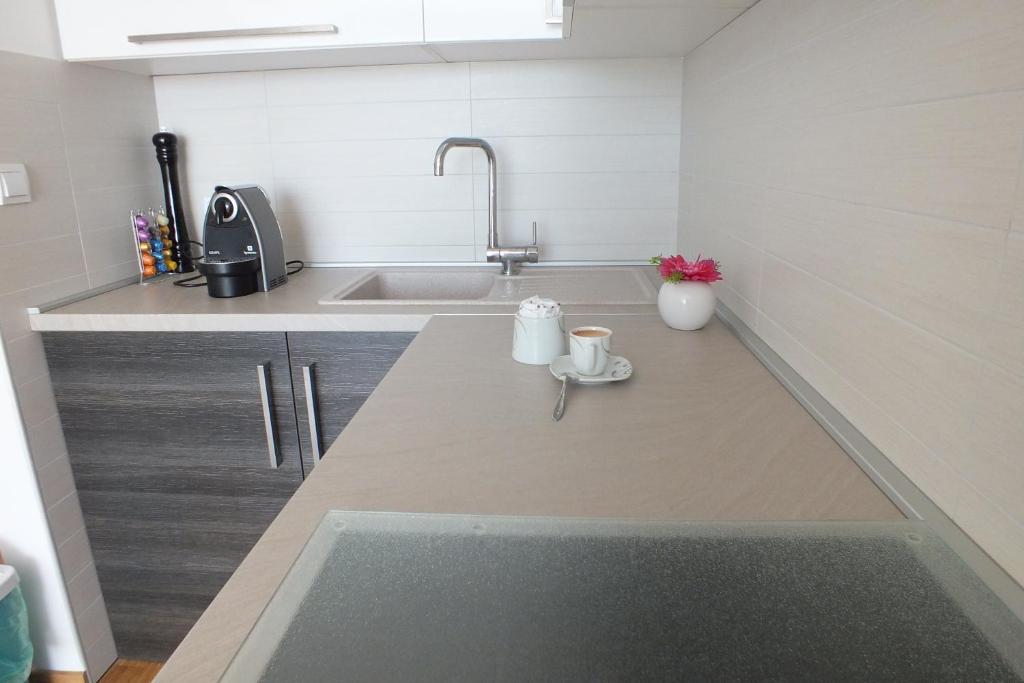 Kuchyň nebo kuchyňský kout v ubytování Apartment Silvija