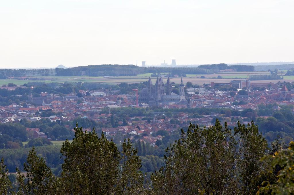 Nespecifikovaný výhled na destinaci Mont-Saint-Aubert nebo výhled na město při pohledu z hotelu