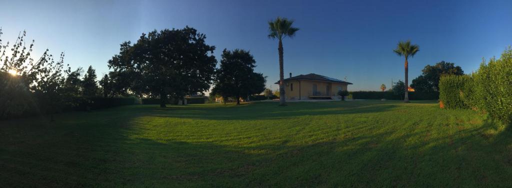 a large grassy yard with a house and palm trees at La casa del Moro in Sabaudia