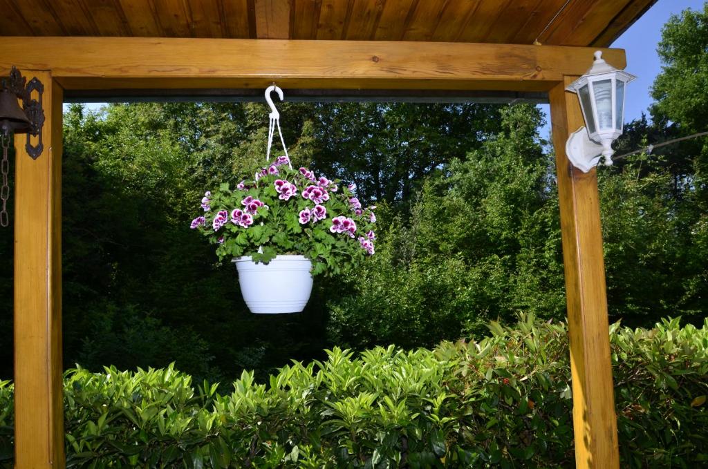 Fotografie z fotogalerie ubytování Apartment Blumen Oase v destinaci Malinska