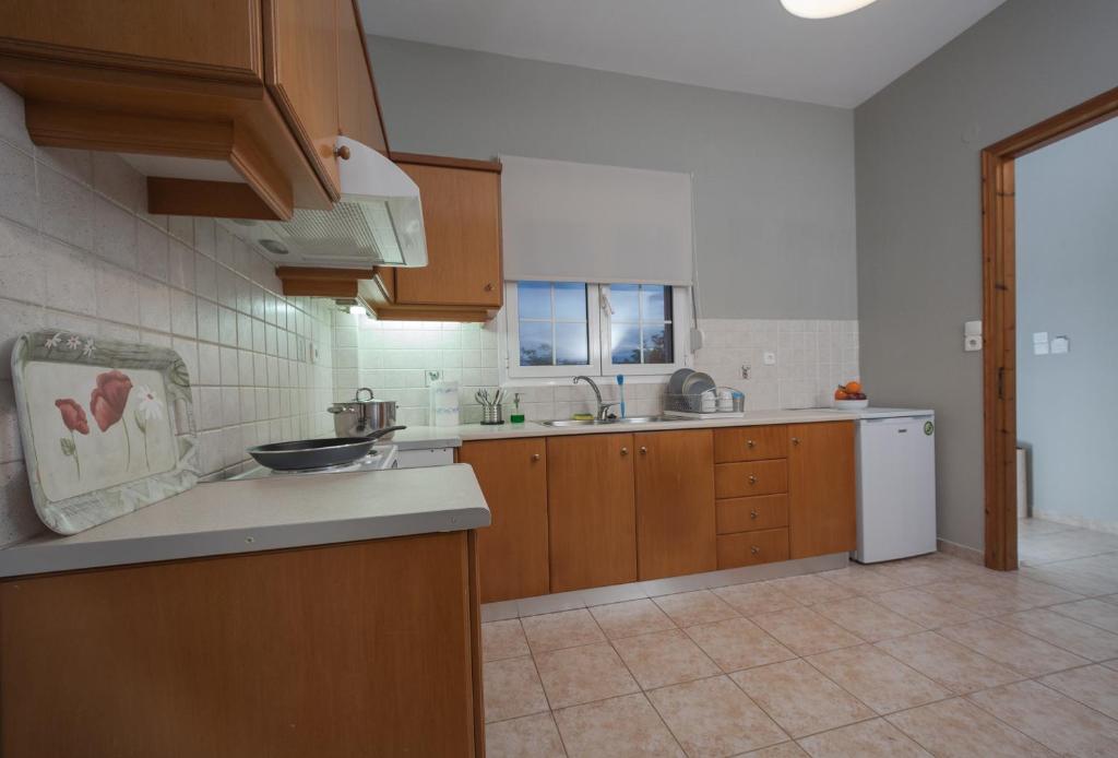 A kitchen or kitchenette at Live in Lemnos Apartments