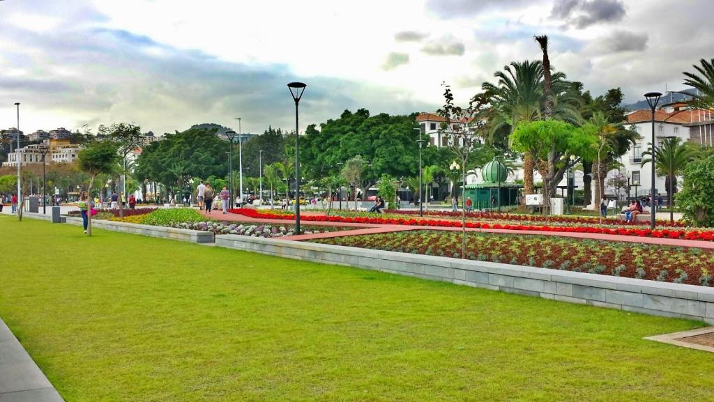 Studio Marina by Madeira Best Apartments - APTOMENTO STUDIO Con Vista Sul Mare