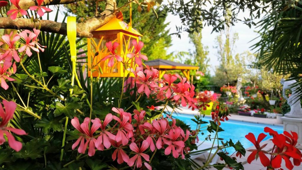 Bazén v ubytování L'Hermine Occitane B&B nebo v jeho okolí