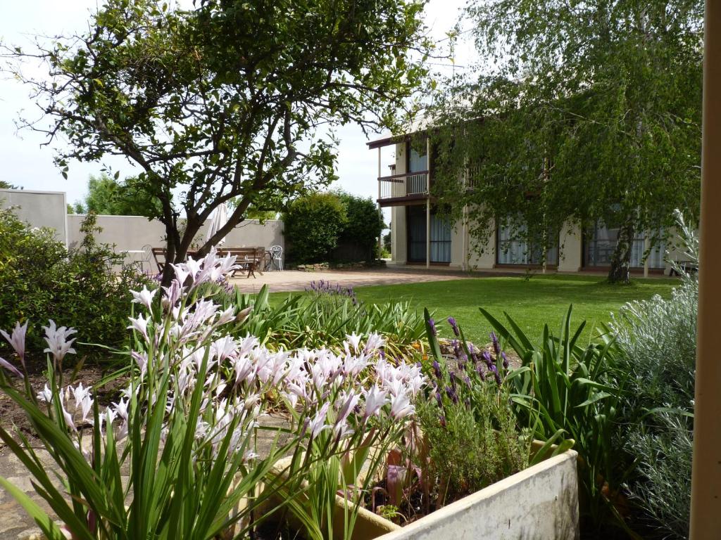 a garden with pink flowers in front of a building at Coonawarra Motor Lodge in Penola