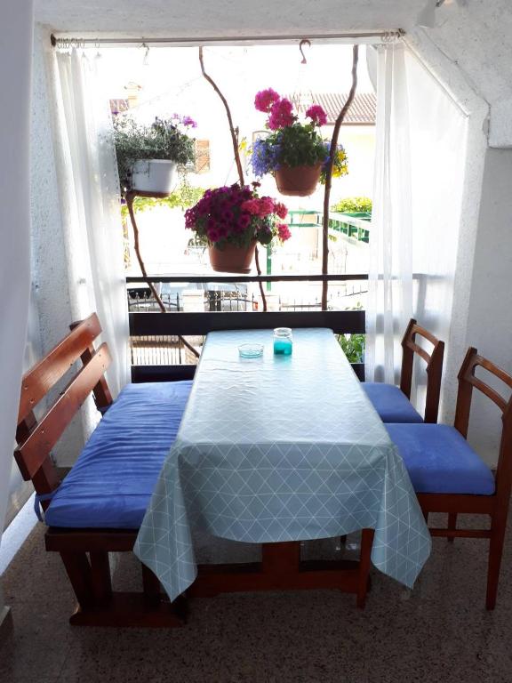 Fotografie z fotogalerie ubytování Apartments Anić v destinaci Novigrad – Istrie