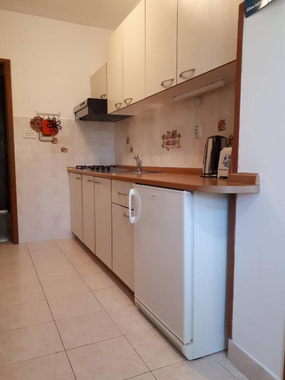 Kuchyň nebo kuchyňský kout v ubytování Apartments Anić
