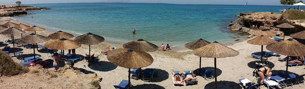 Przyroda w pobliżu tego hotelu
