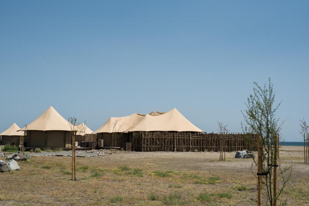 Příroda nedaleko luxury tent