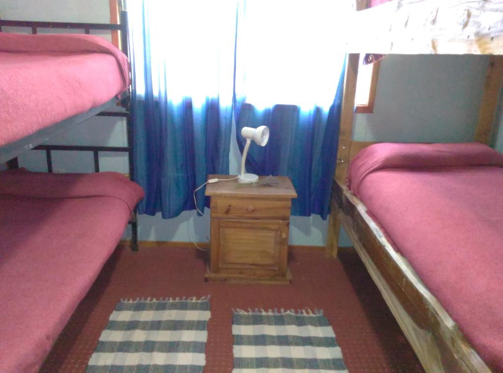 Katil atau katil-katil dalam bilik di Piuke Mapu Patagonia Hostel
