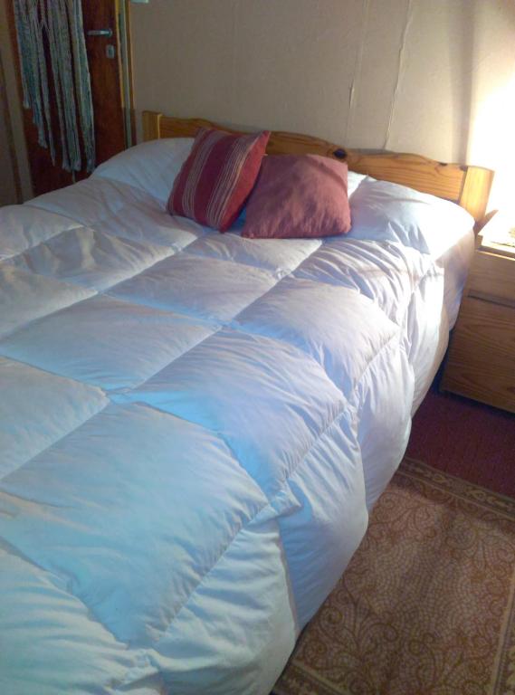 Katil atau katil-katil dalam bilik di Piuke Mapu Patagonia Hostel