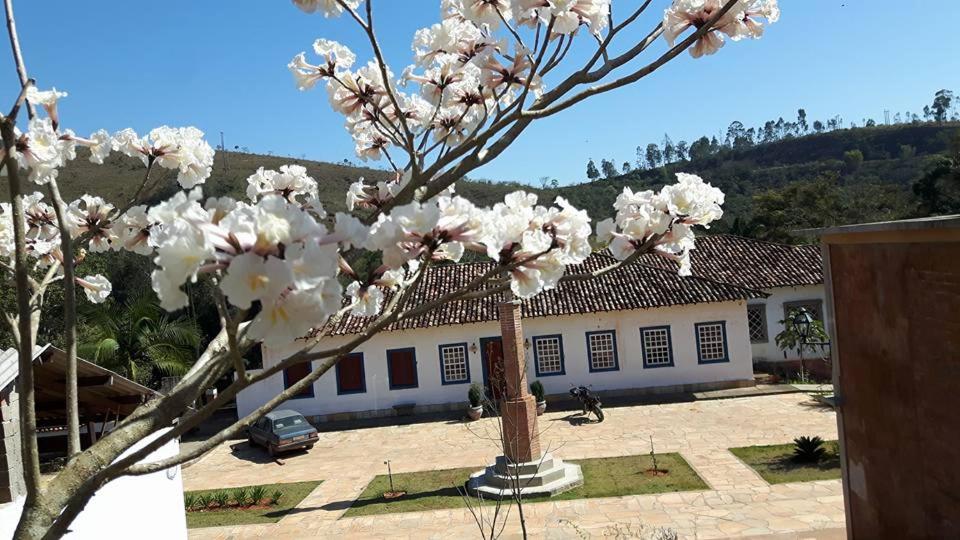 un arbre aux fleurs blanches devant un bâtiment dans l'établissement Pousada Condado Santa Maria, à Baependi
