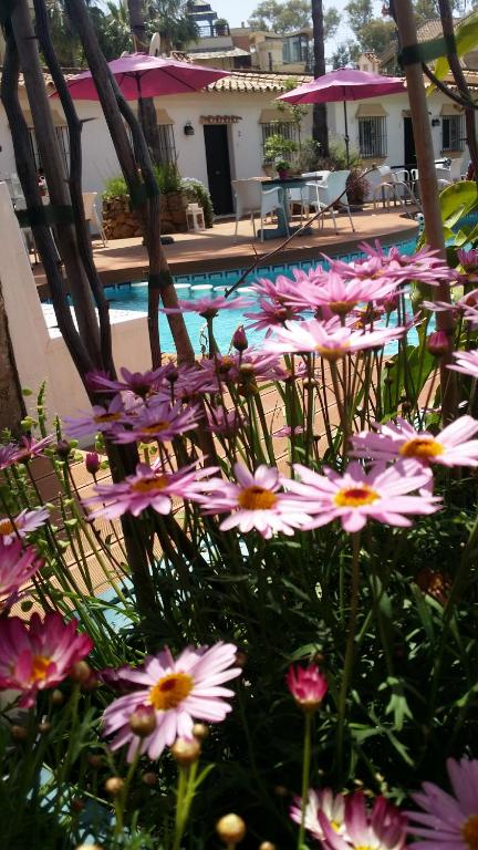 Zahrada ubytování Banus Lodge