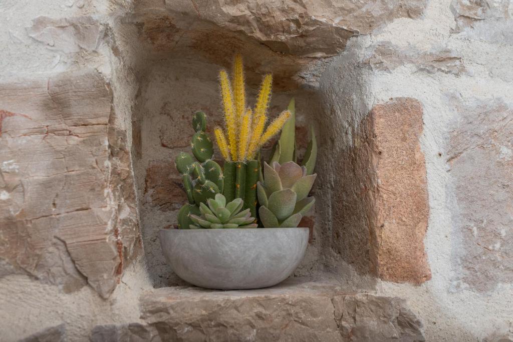 Zara Palace - design rooms - 15