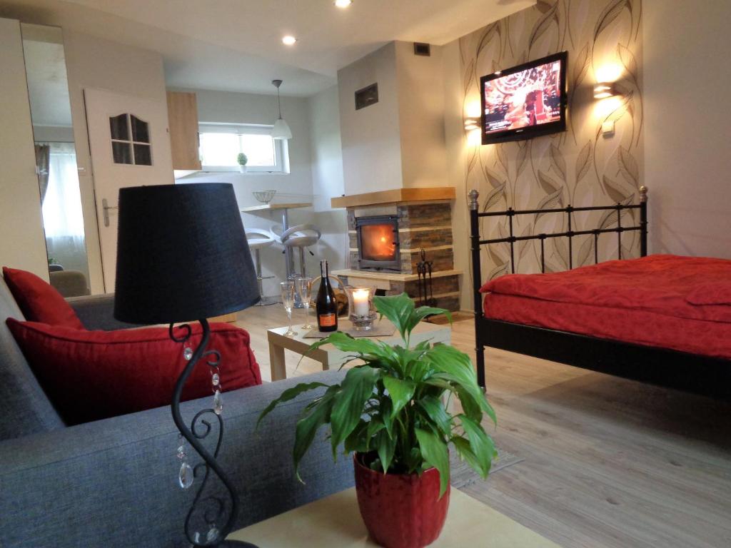 Pokoje, apartament NA WYSPIE - 1