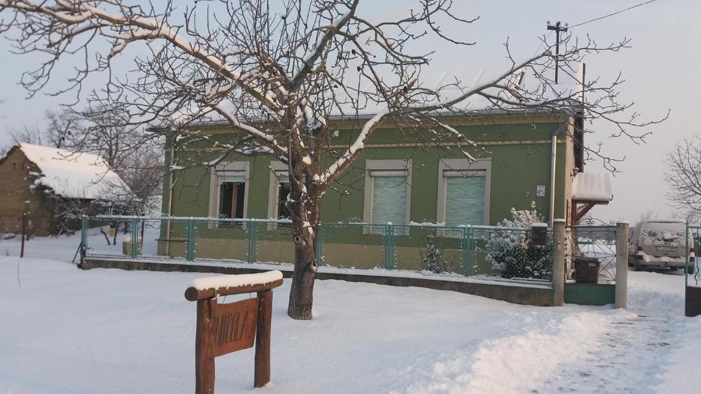 uma casa verde com uma árvore na neve em Nicoláj Vendégház és Tanya em Dég