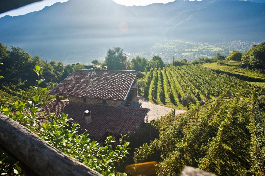 a barn in the middle of a vineyard at Agriturismo Ruc del Lac in Boario Terme