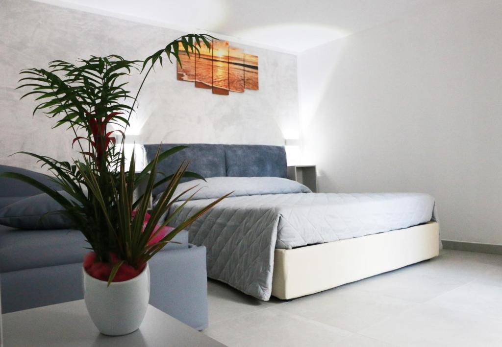 una camera con letto e pianta in vaso di B&b Dolce Idea a Peschici
