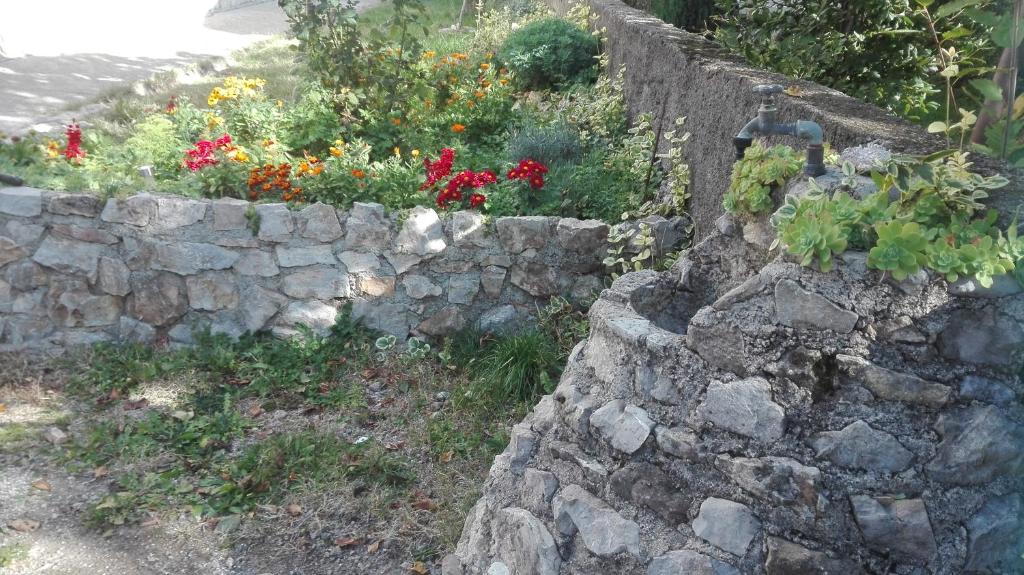 Apartment Cvjetna - 16