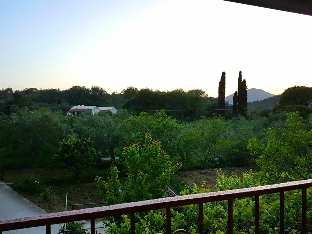 A garden outside Alexandros Studios