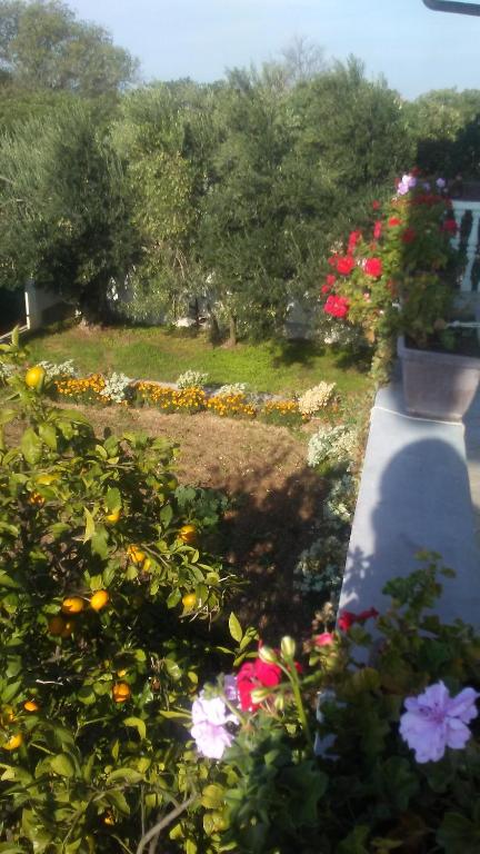 Fotografia z galérie ubytovania Josini dvori v destinácii Biograd na Moru