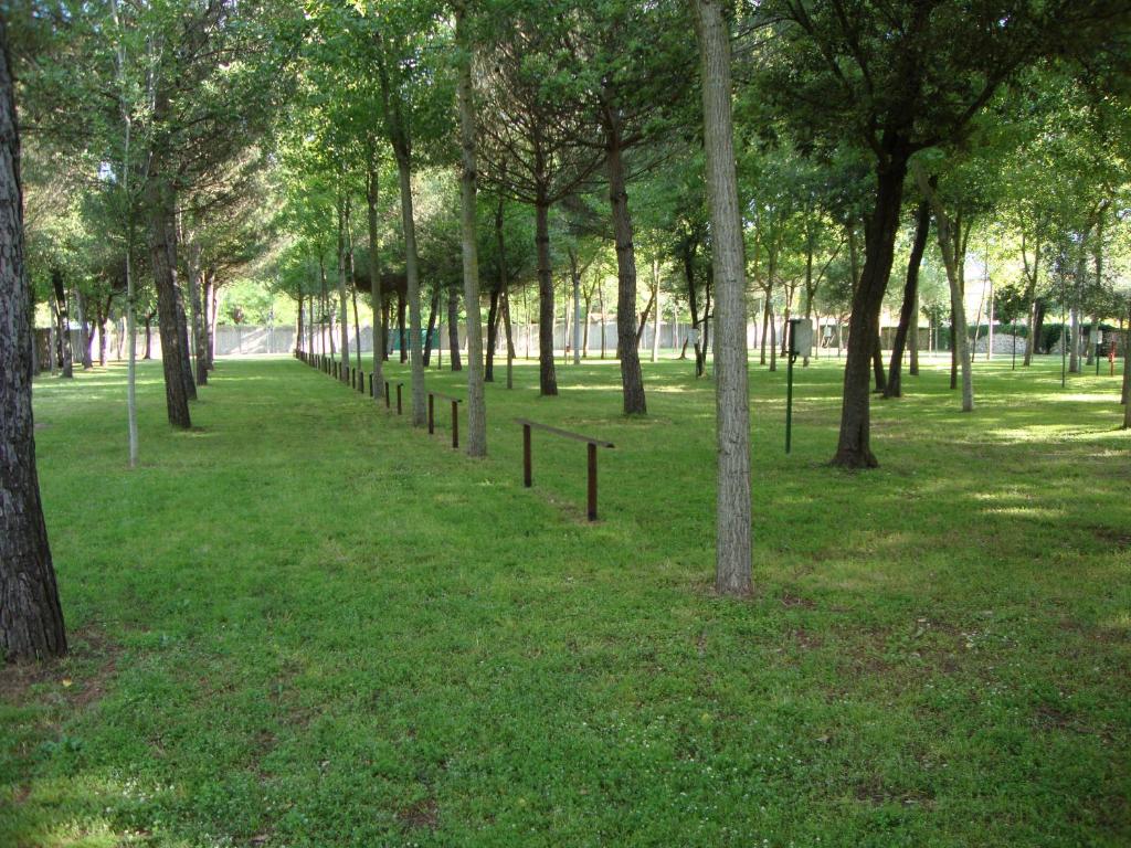 Zahrada ubytování Camping Village Viareggio
