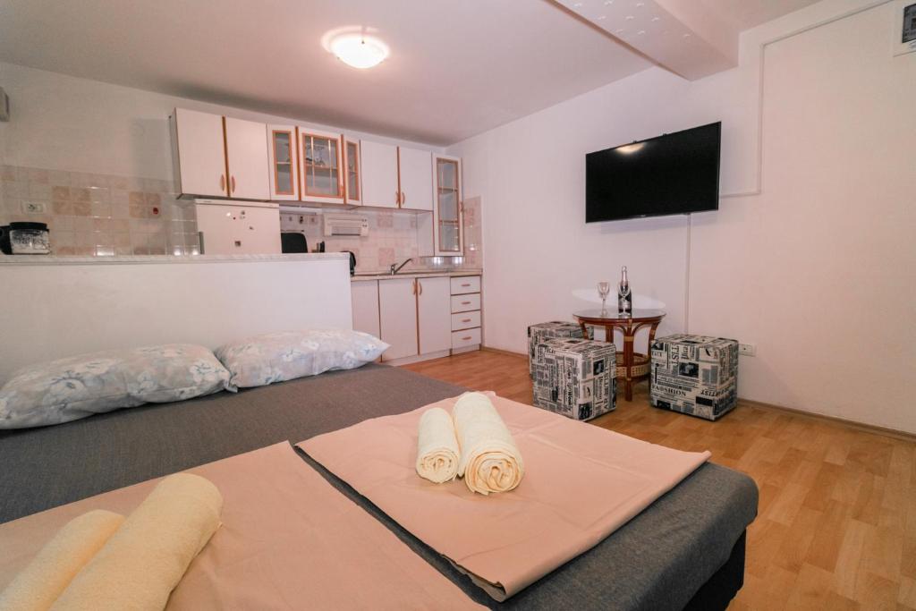 皮蘭的住宿－Fri Apartment，一间带一张床的房间和一间带电视的厨房