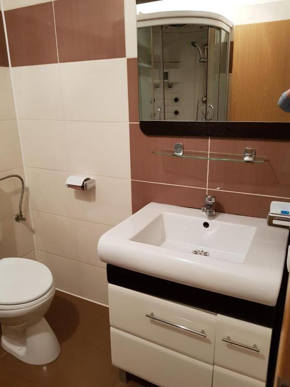 Koupelna v ubytování Hotel Floare de Colt