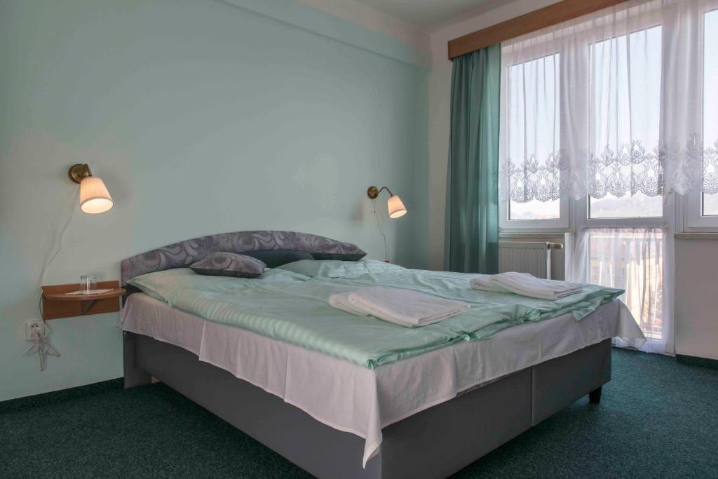 プルシーブラムにあるHotel Belvedere Příbramのベッドルーム1室(ベッド1台、大きな窓付)