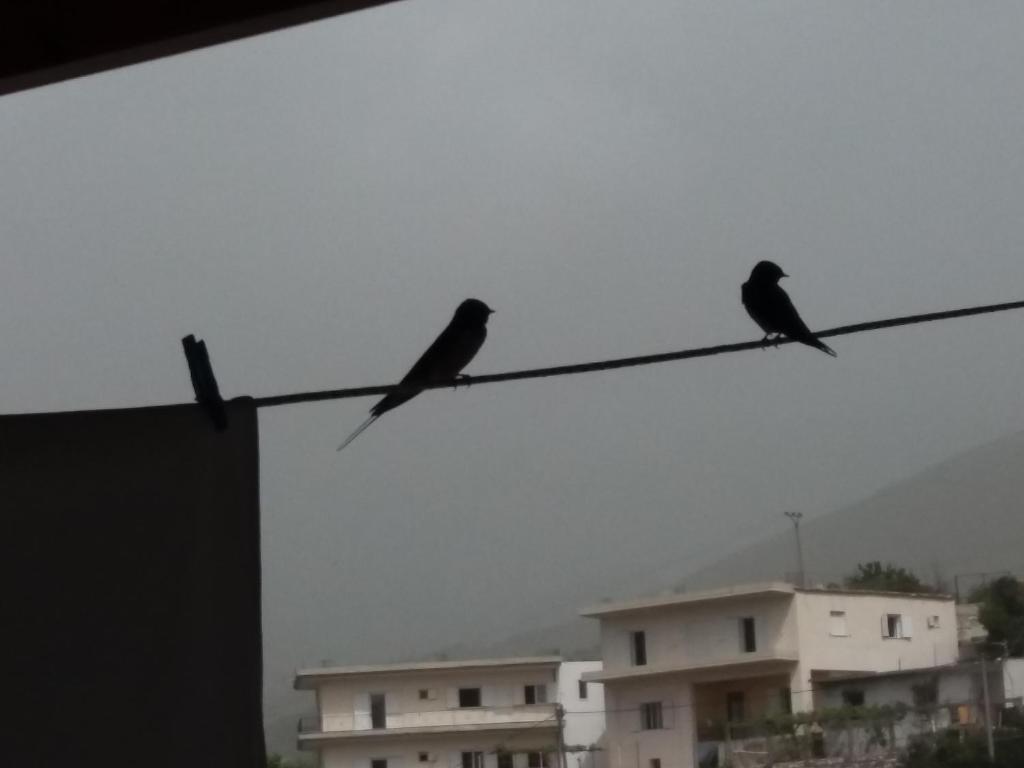 Foto dalla galleria di Sunset Guest house a Himare