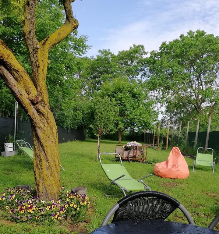 Vonkajšia záhrada v ubytovaní Zucchero sui Baffi- Food Lovers B&B