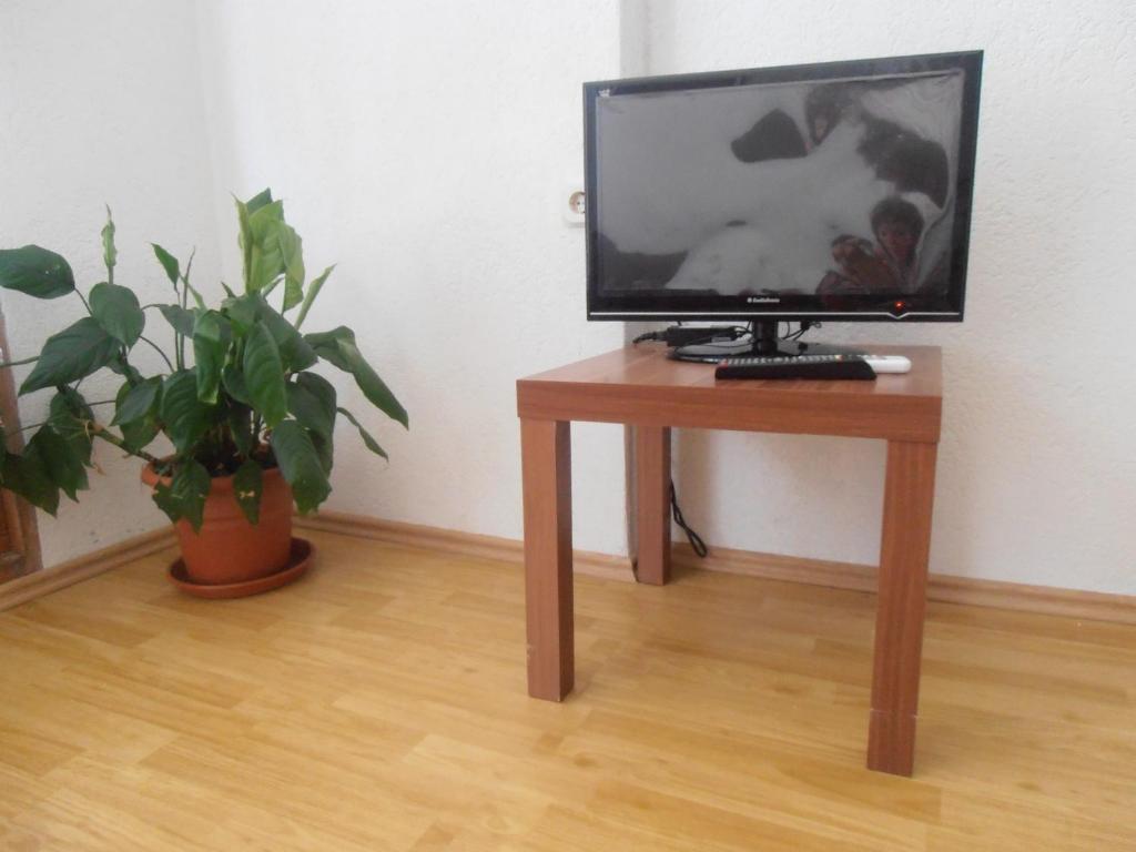 TV/Unterhaltungsangebot in der Unterkunft Apartments Kova&#x10D;i&#x107;