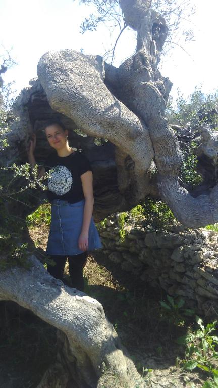 Hosté ubytování Felline In Bed&Breakfast Dimora di Charme el Salento