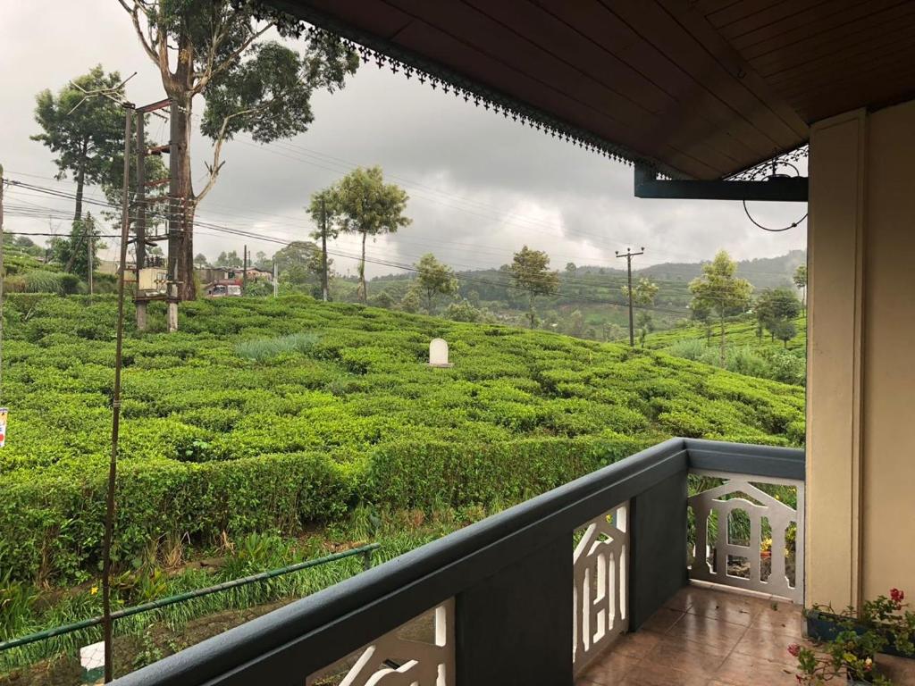 uma varanda com vista para uma plantação de chá em Pedro View Homestay em Nuwara Eliya