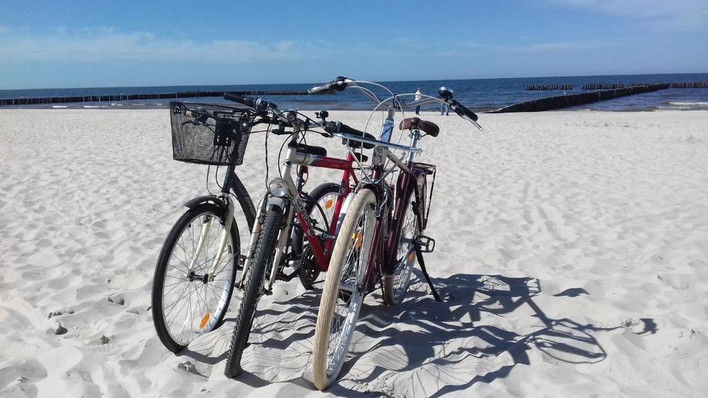 Jazda na bicykli v okolí ubytovania Apartament Admiralski