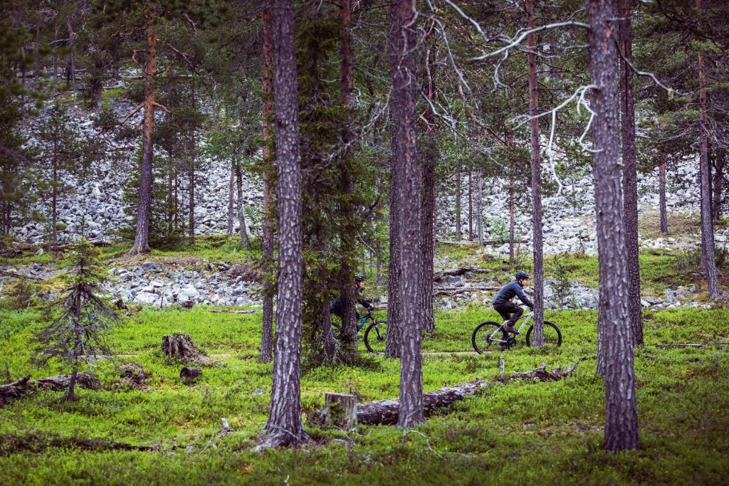 Jízda na kole v ubytování Pyhä Igloos nebo okolí