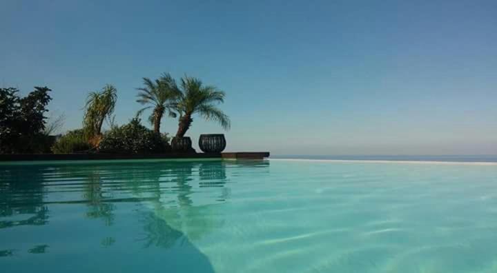 - une piscine avec des palmiers et l'océan dans l'établissement La casa del panorama, à Valverde