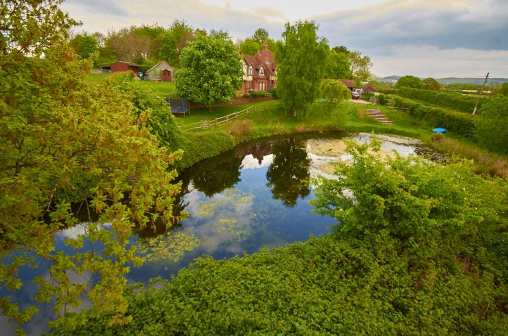 Gallery image of Upper House Cottage in Little Marcle