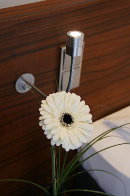 Augusten Hotel München - Resim 9