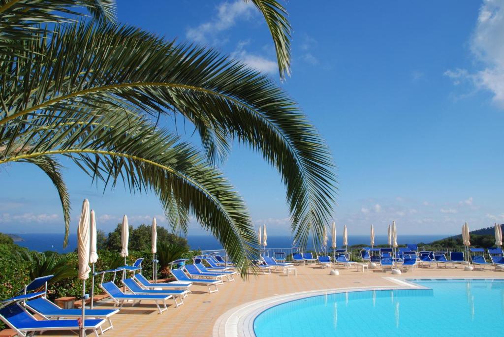 un grupo de sillas y una piscina con palmeras en Residence Belvedere, en Capoliveri