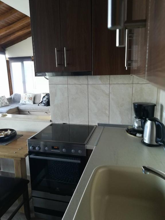 Kuchyň nebo kuchyňský kout v ubytování Olympic Hotel