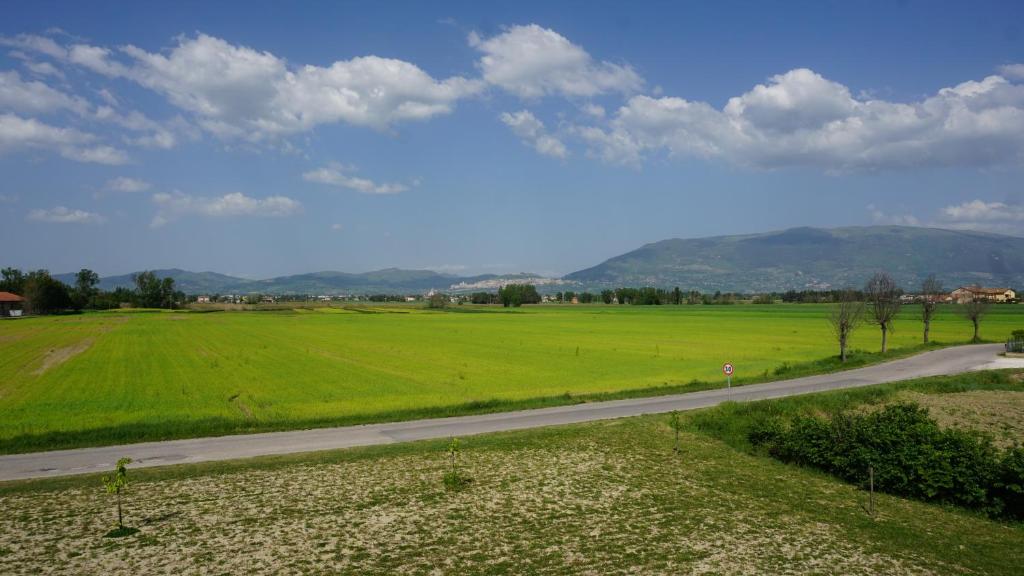 ベットーナにあるFattoria Didattica Le Torteの山を背景に緑地を通る道