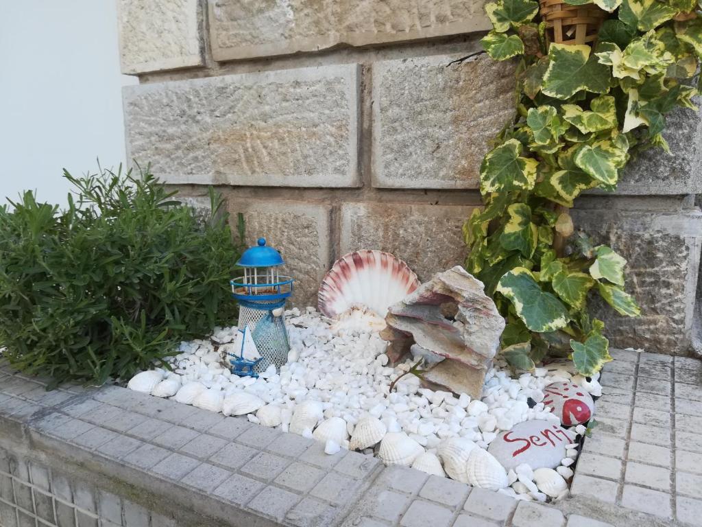 Fotografia z galérie ubytovania Apartment Nereo v destinácii Senj