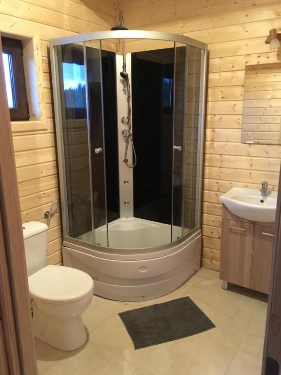 a bathroom with a shower and a toilet and a sink at Dolina Bella in Gołubie