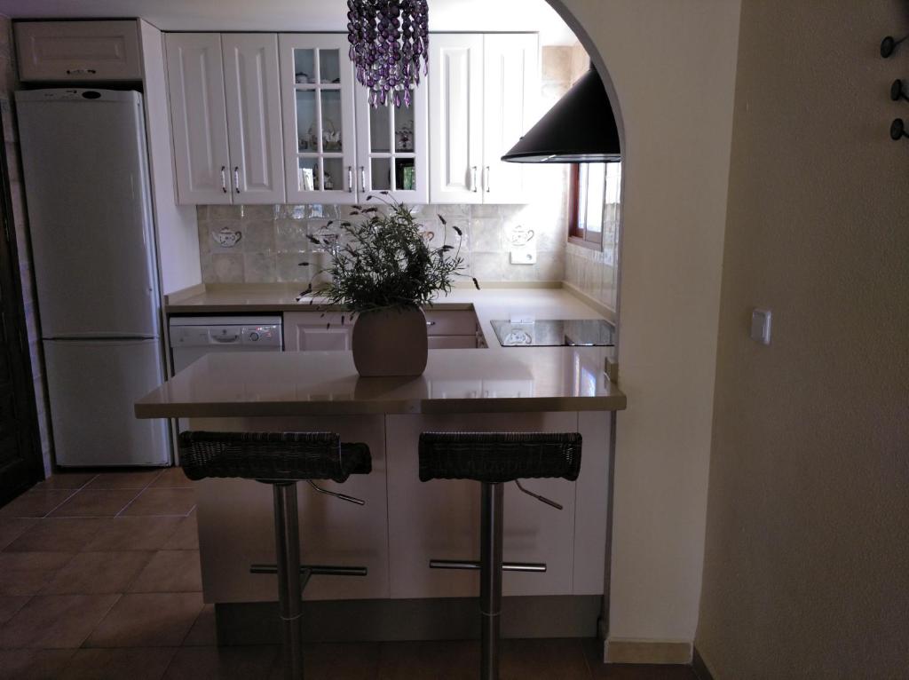 a kitchen with a island with a potted plant on it at Precioso chalet en la playa de Tavernes de la Valldigna in Tavernes de Valldigna