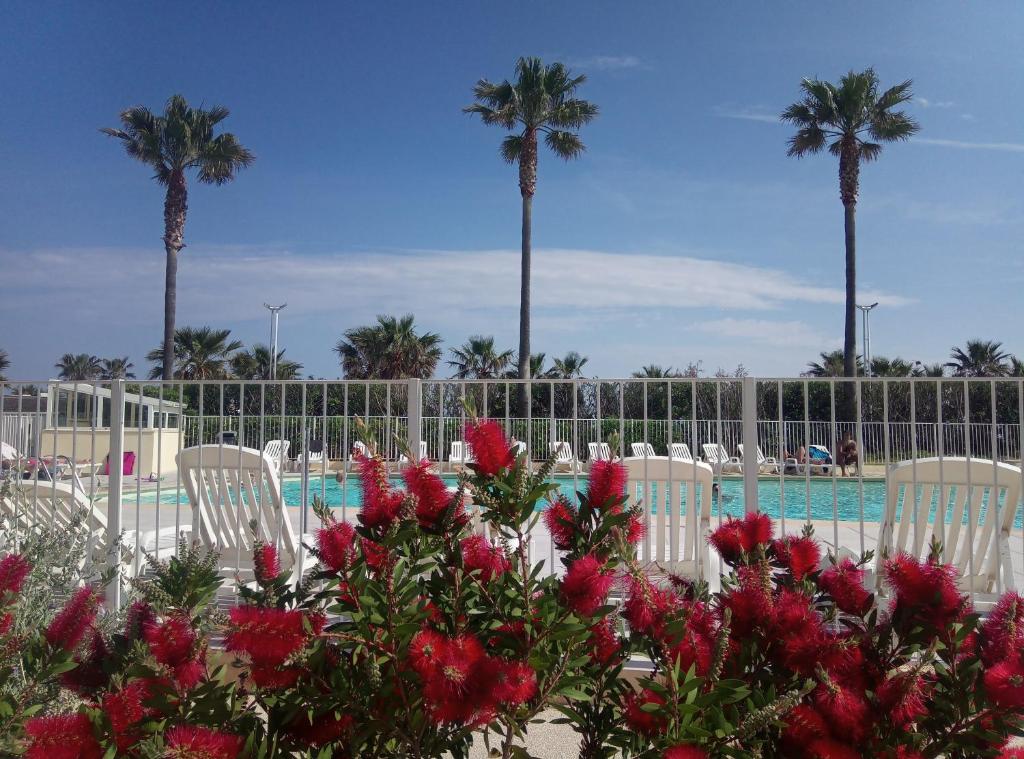 a resort with white chairs and a pool with palm trees at Appartement Cap Hermès in Fréjus