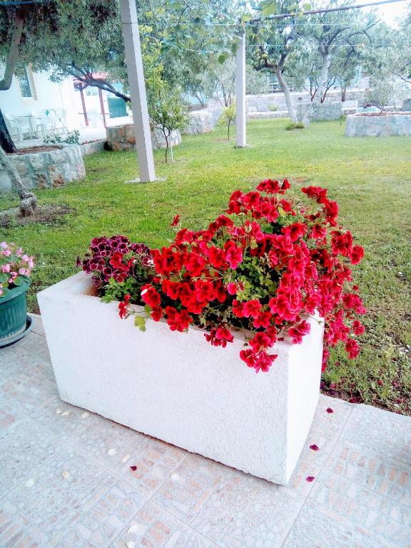 Apartments Maxi Katić - 18