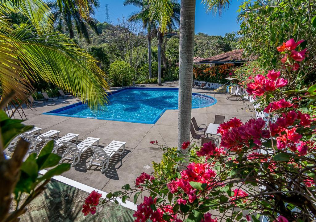 a swimming pool with chairs and pink flowers at Hotel Colinas del Sol in Atenas