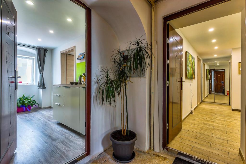 Fotografie z fotogalerie ubytování Apartments In The City v destinaci Rijeka