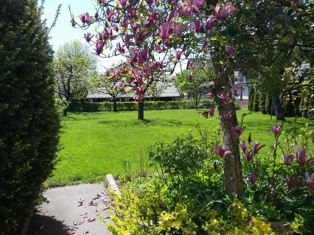 un jardin avec un arbre orné de fleurs roses dans l'établissement Vila Bbq, à Ljubljana