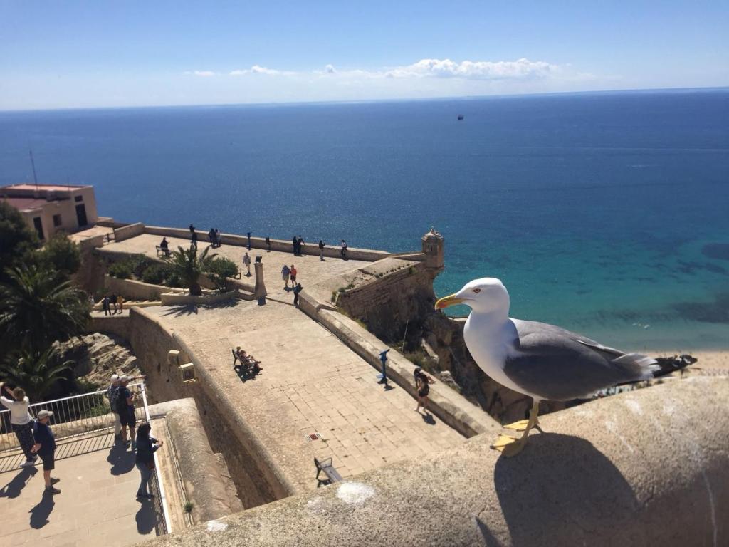 Apartamento centrico castillo s. Barbara, Alicante – Updated ...